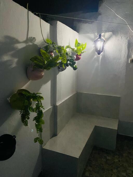 훔트 수크 Le Refuge Djerbien 아파트 외부 사진